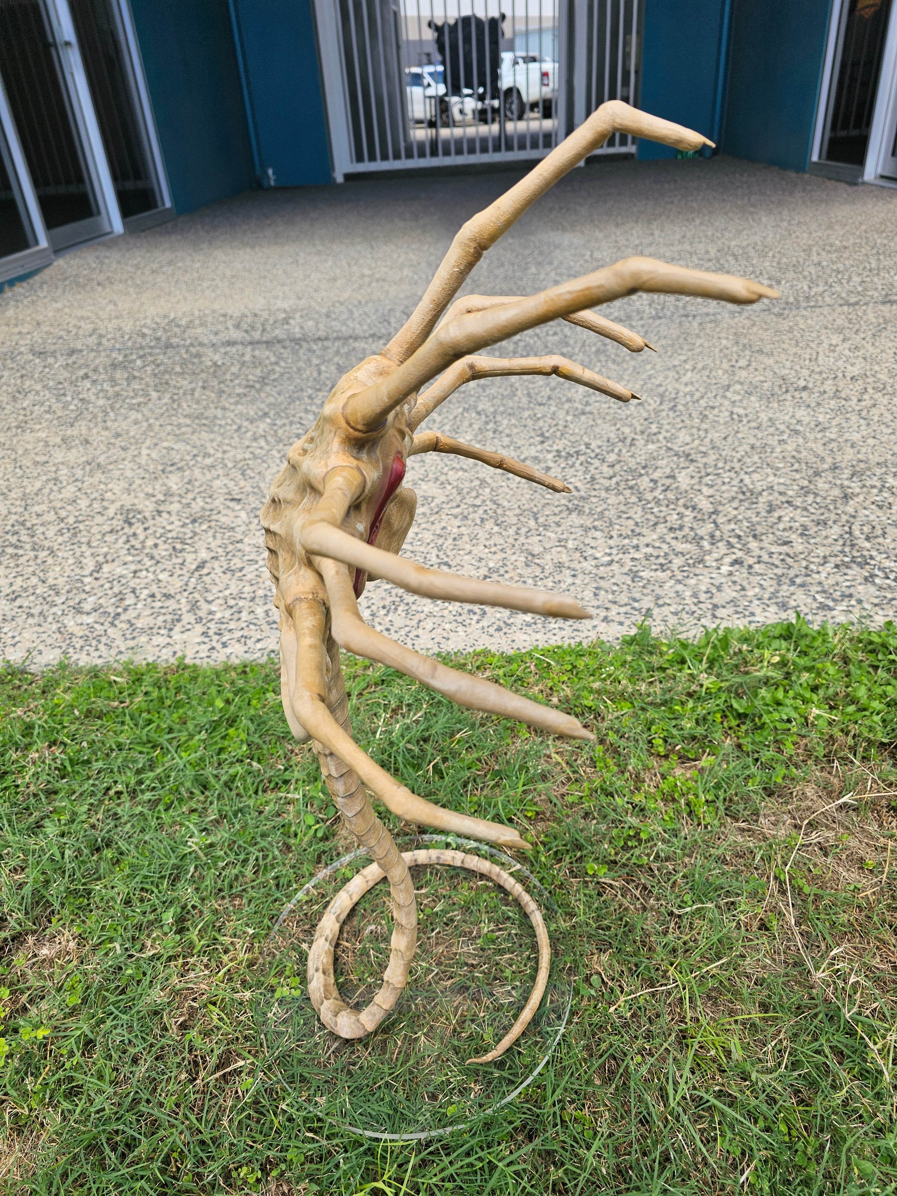 Life Sized Alien Facehugger Prop - Rising Sun FPV