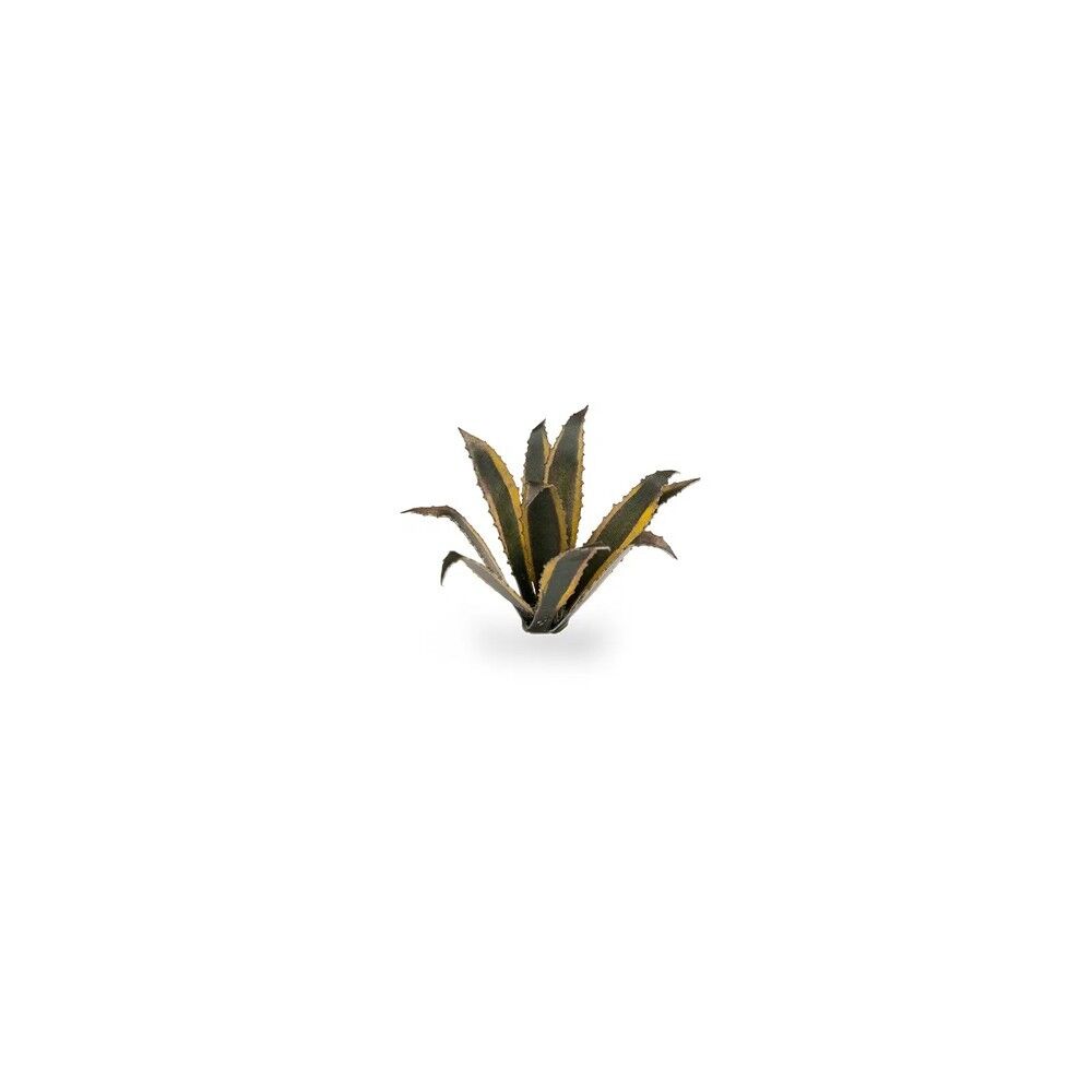 Gamers Grass - Laser Plants - Agave