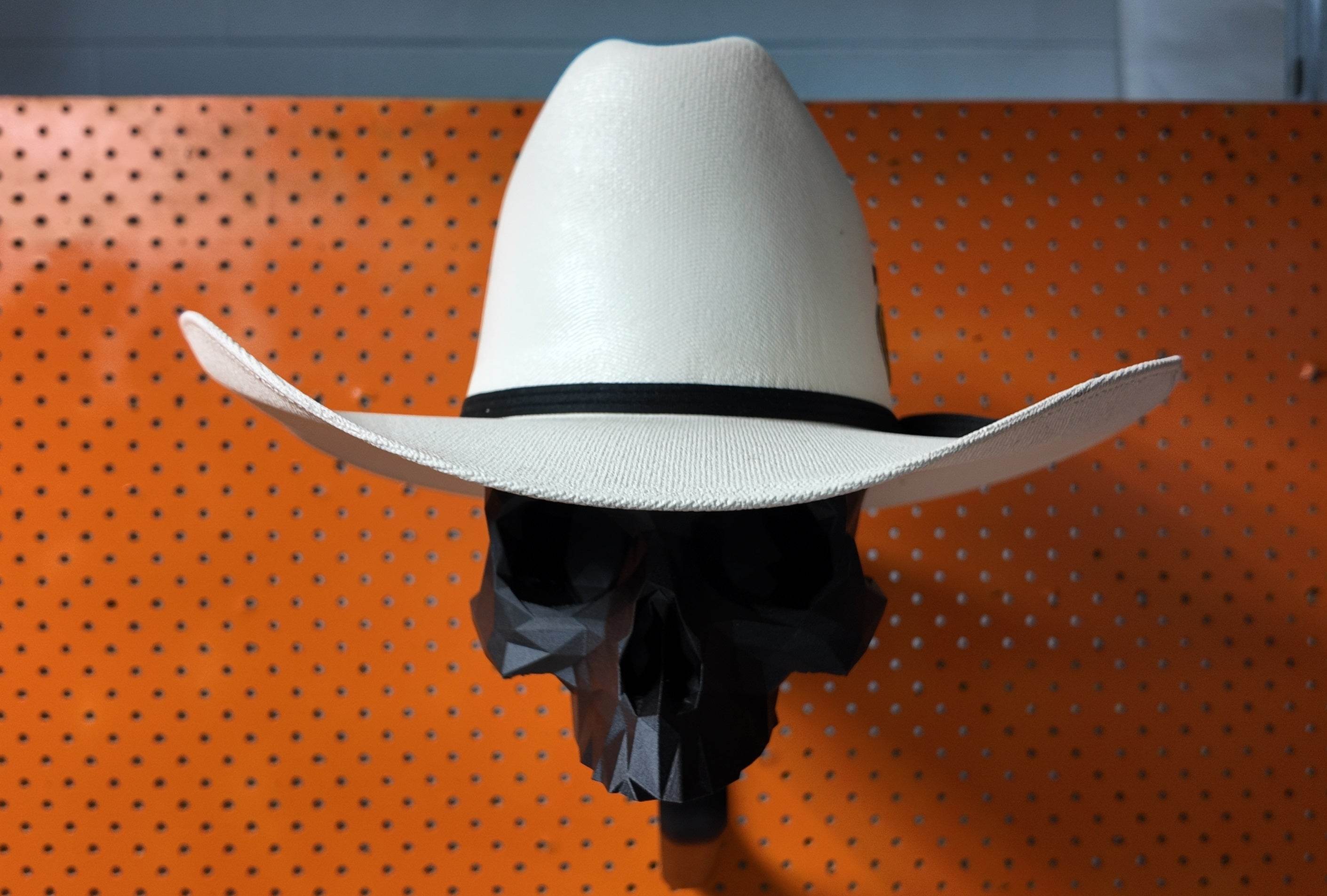 3D Printed Wall Mounted Articulated Hat Stands - Rising Sun FPV