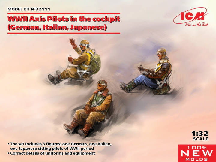 WWII Axis Pilots in the Cockpit