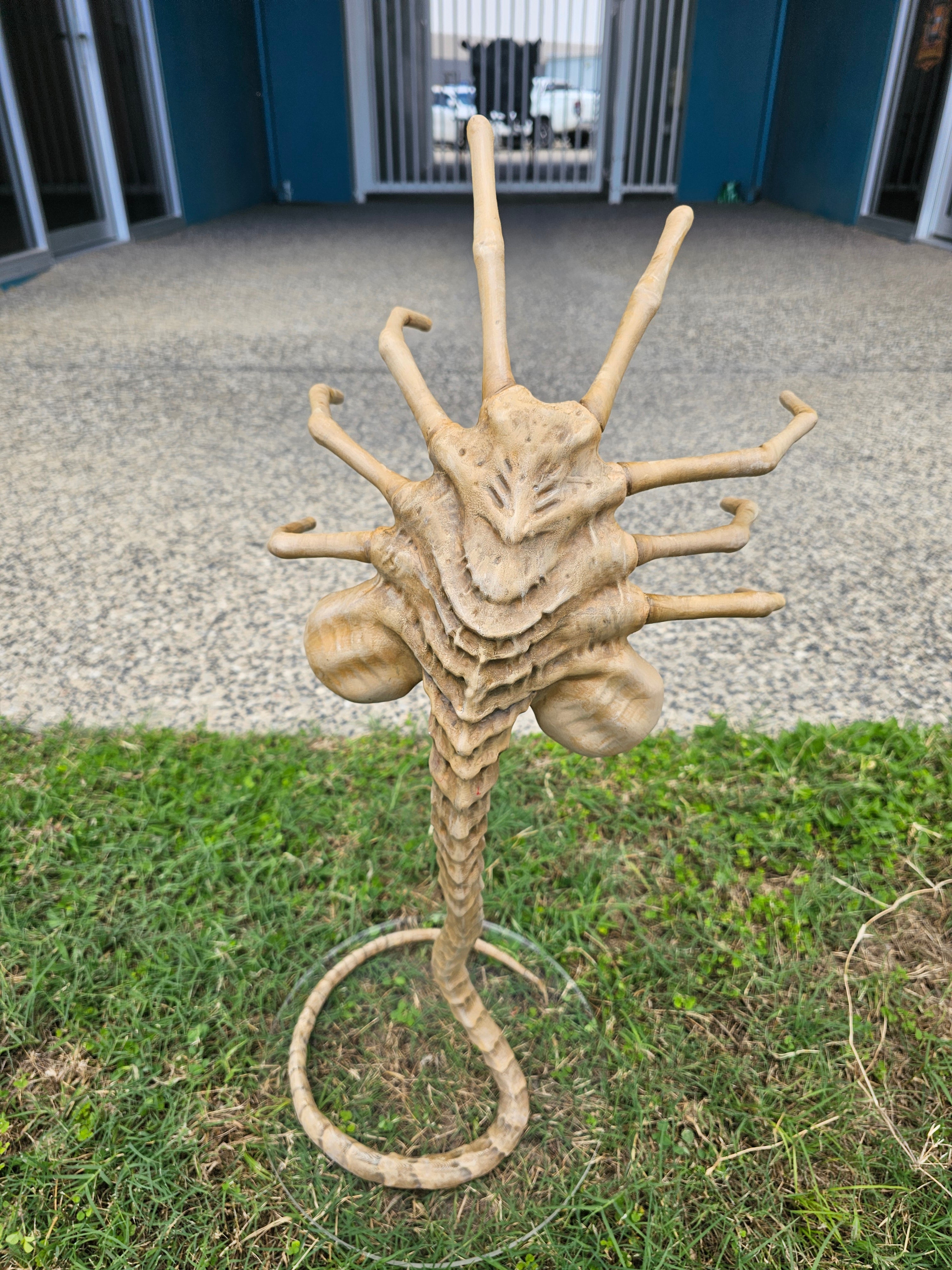 Life Sized Alien Facehugger Prop - Rising Sun FPV