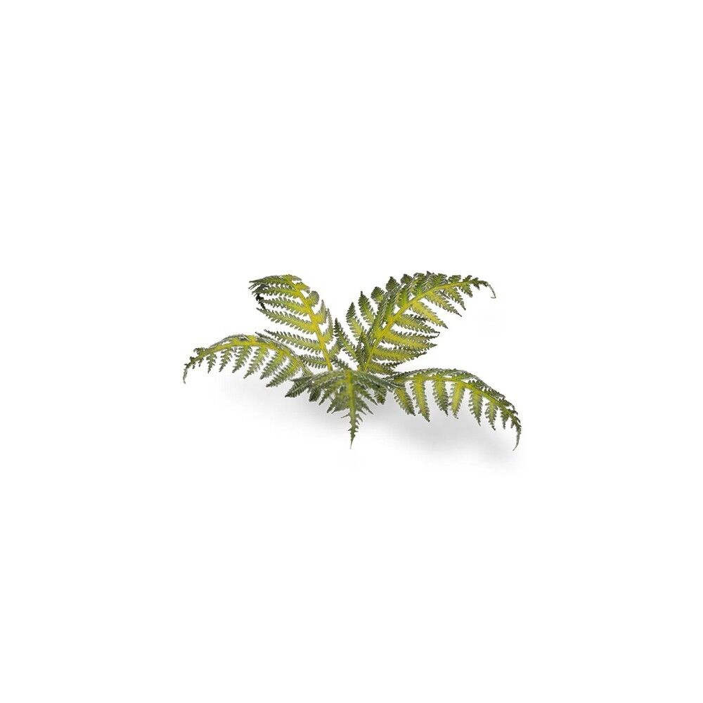 Gamers Grass - Laser Plants - Bracken