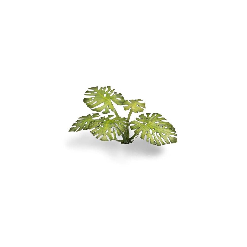 Gamers Grass - Laser Plants - Monstera