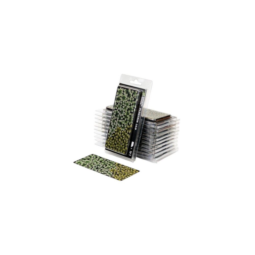 Gamers Grass - Laser Plants - Plantain Lily