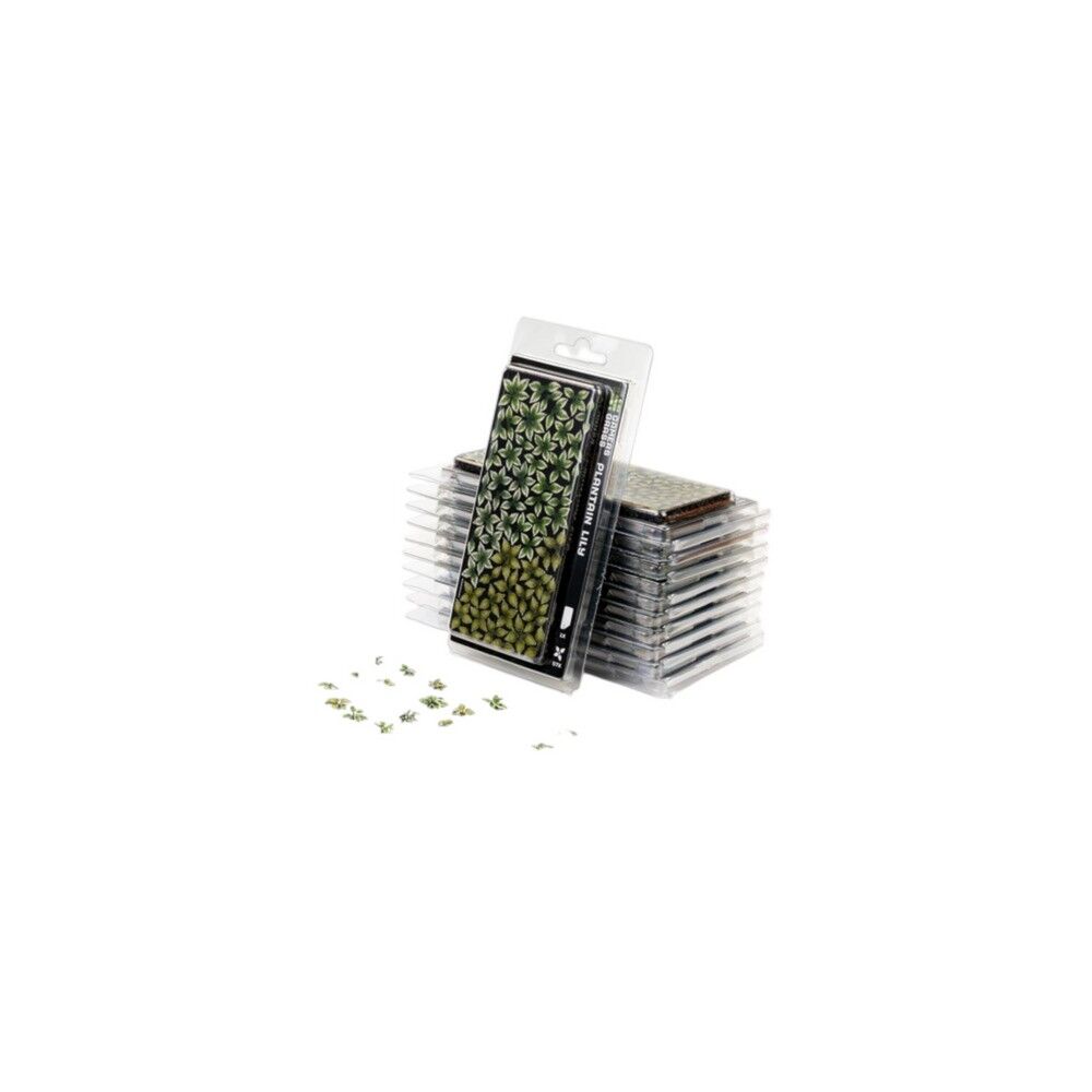 Gamers Grass - Laser Plants - Plantain Lily