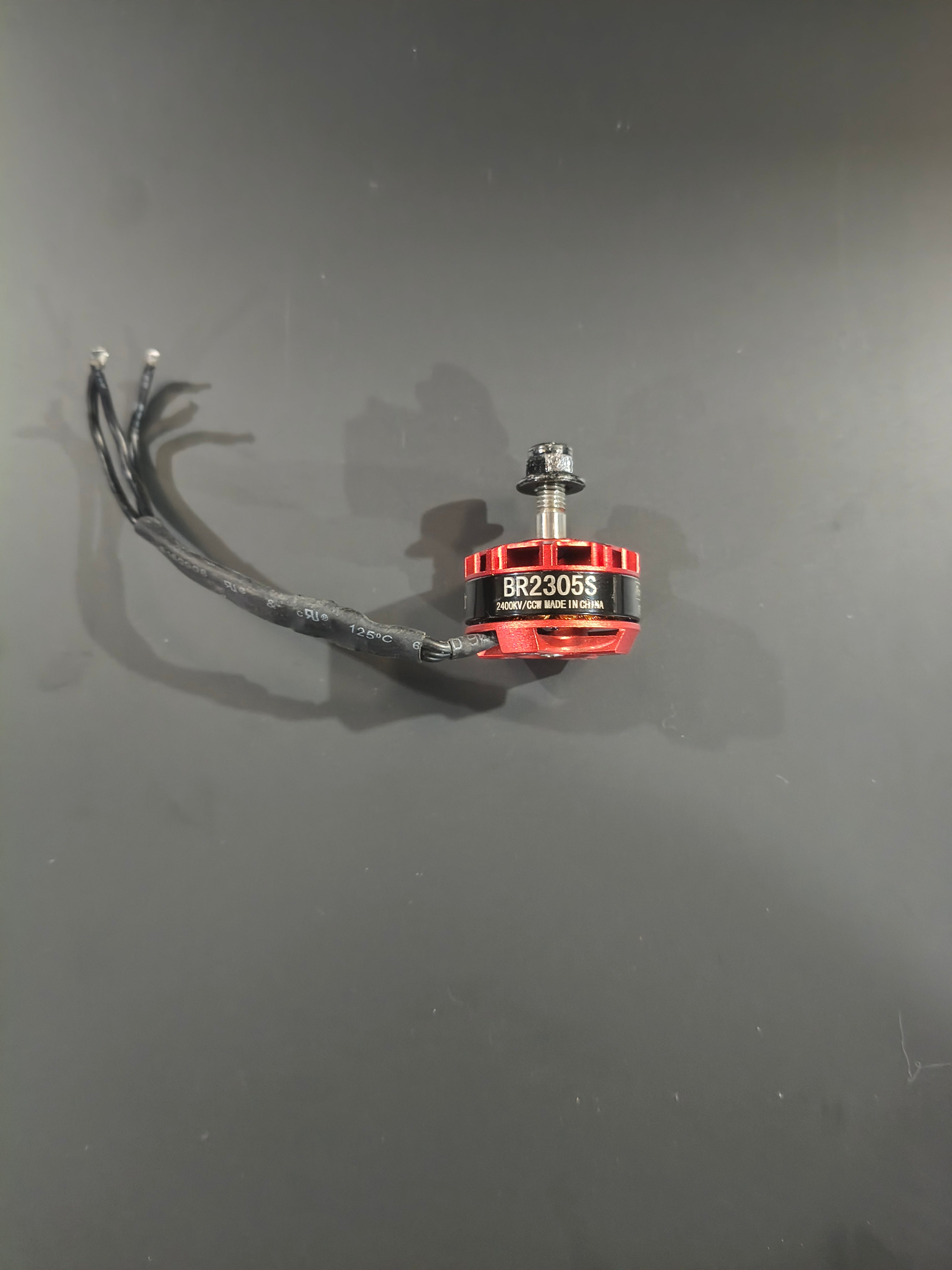 Assorted Bag Racerstar BR2305S 2400KV / BR2204 2300KV Motors
