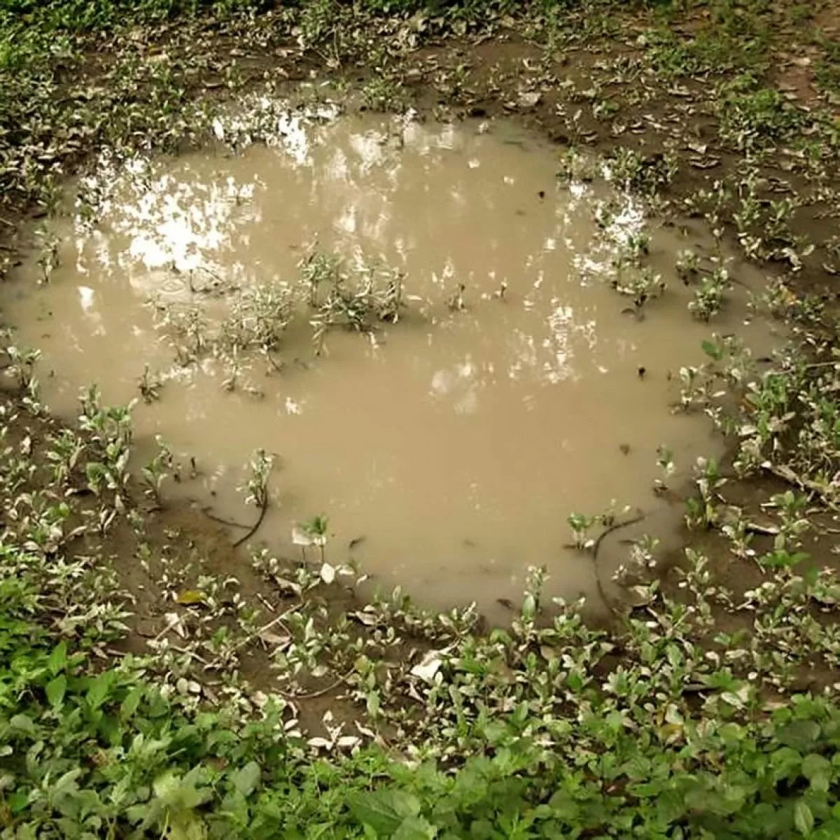 AK Interactive - Dioramas - Puddles 60ml